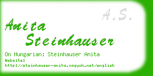 anita steinhauser business card